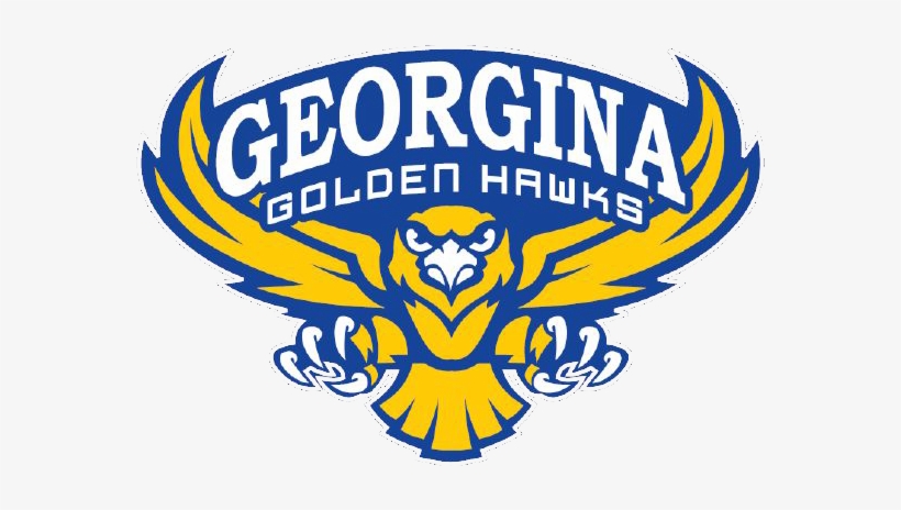 You Are Here - Willmar Warhawks, transparent png