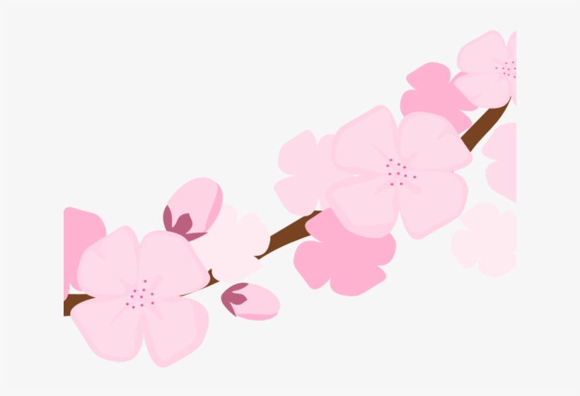 Cherry Blossom Clipart Hanami - Cherry - Naboru Hitehawa/deep Solid Groove/the Squier, transparent png