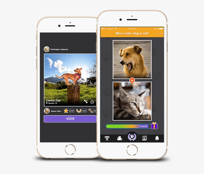 Share & Decorate Cute Pics Of Your Pet - Animal Jokes, Riddles, And One-liners, transparent png