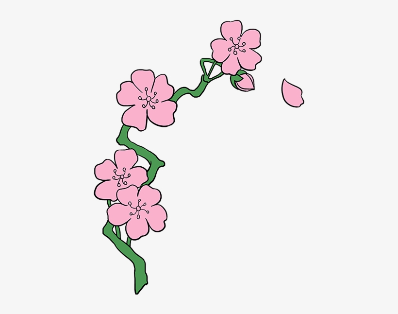 How To Draw Cherry Blossoms - Drawing, transparent png
