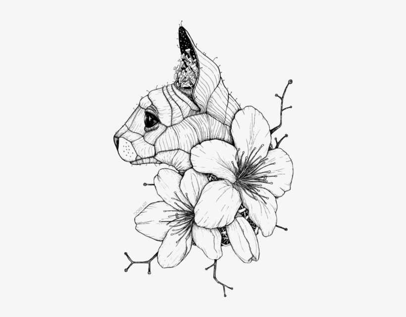 Bleed Area May Not Be Visible - Sphynx Drawing, transparent png