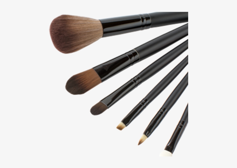 Which To Choose - Pinceaux Maquillage Png, transparent png