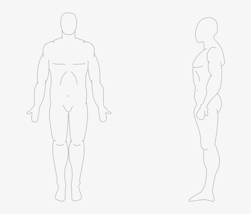 Human Body Front And Side - Human From Front And Side, transparent png