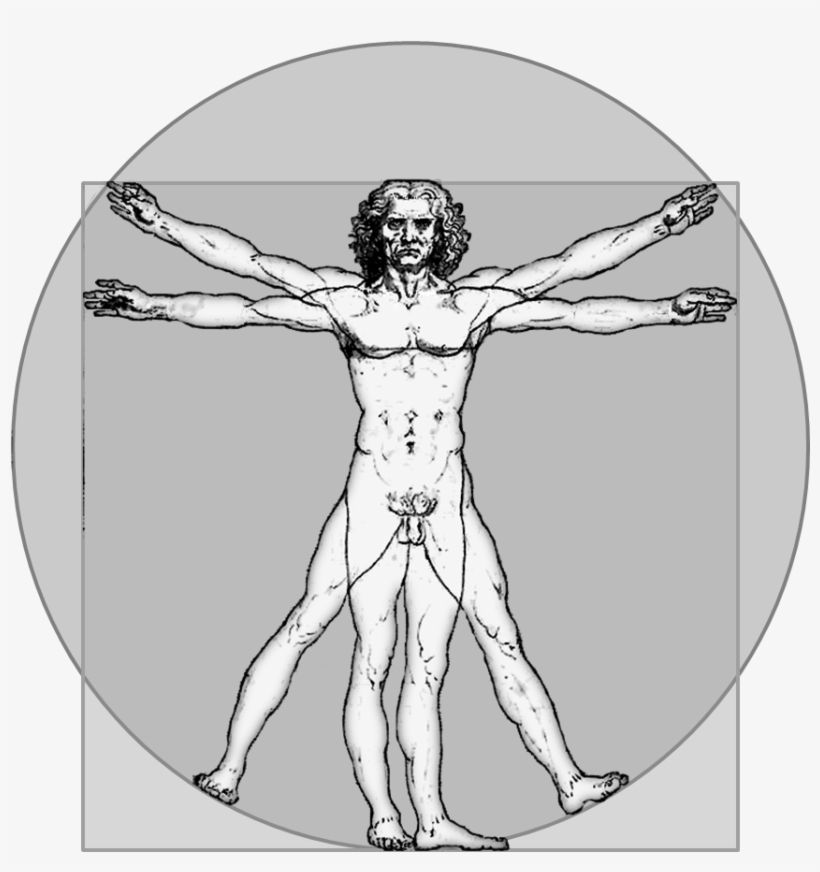 Vitruvian Icon Gray - Introduction To 12-lead Ecg: The Art, transparent png