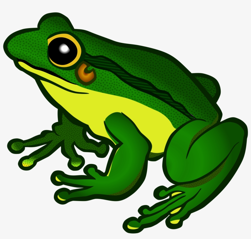 Png Free Stock Frog Clipart Png - Frog Transparent Background, transparent png
