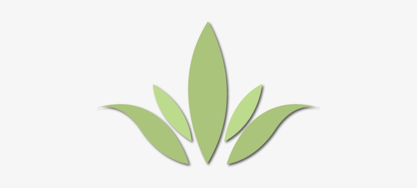 Logo Agave Png, transparent png