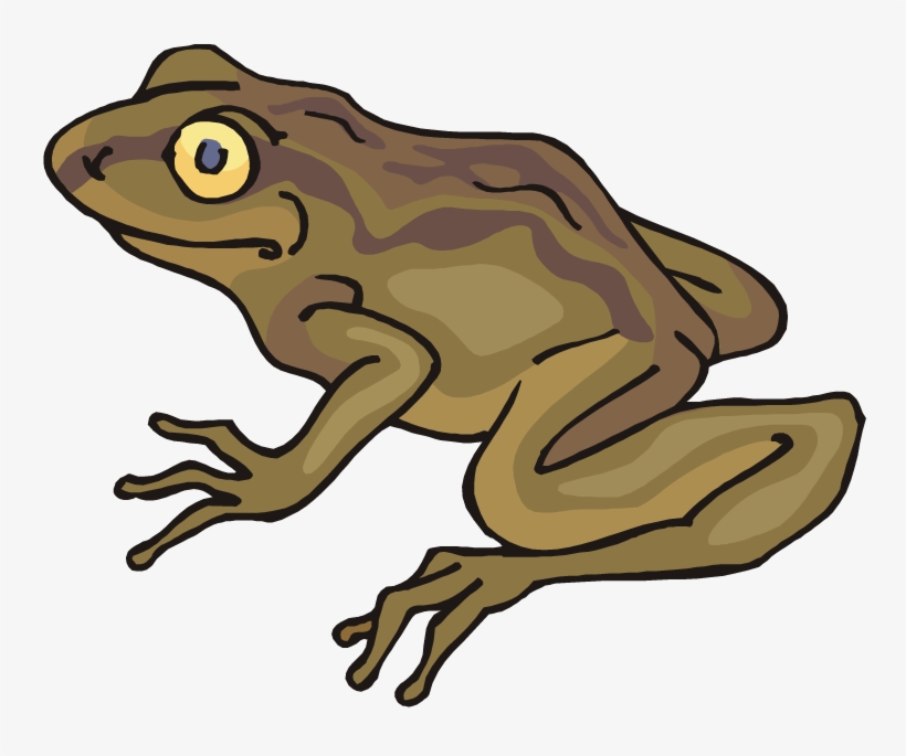 Free Frog Toad - Toad Clipart, transparent png