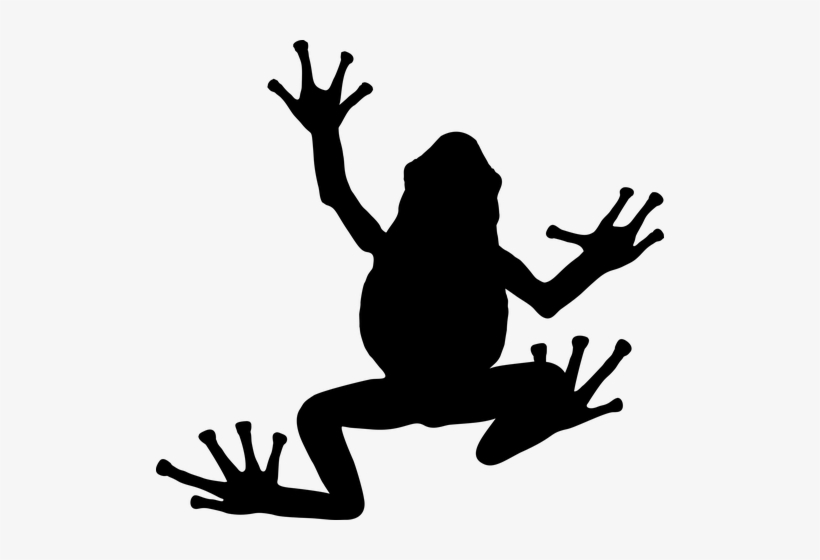 Frog Vector Tribal - Frog Silhouette, transparent png
