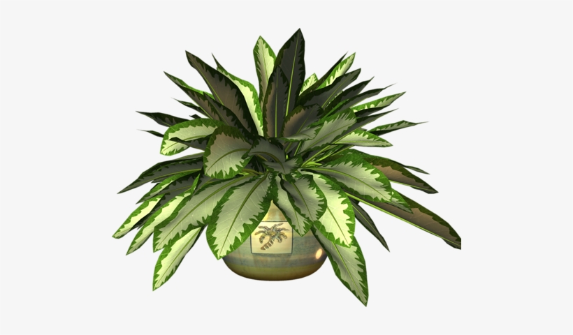 Pot Plant Clipart Botany - Clip Art, transparent png