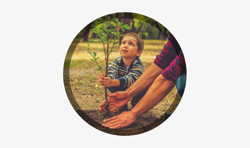 Emerald Tree & Shrub Care Company's - Kuranda Gelisim Psikolojisi [book], transparent png