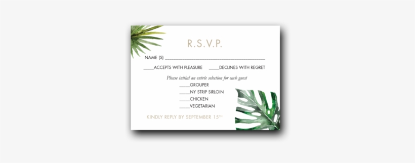 Tropical Palms - Agave, transparent png