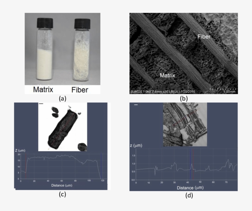 Separated Material Of Agave On Its Components Of Matrix - Wood, transparent png