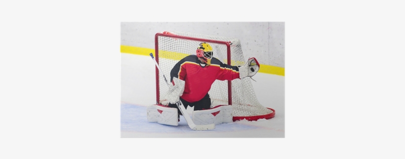 Goalie Catches The Puck Poster • Pixers® • We Live - Hockey Spirit Custom Mod Frame - Red/white/blue - One, transparent png