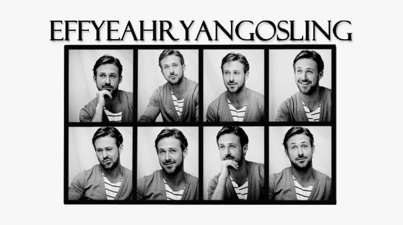 Everyone Needs Some Gosling In Their Life - Home, transparent png