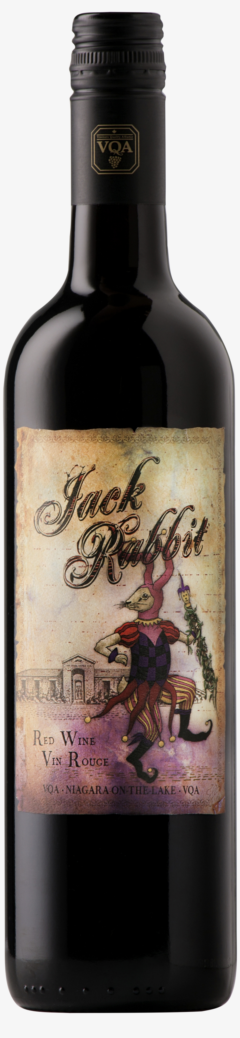 Jackrabbit Png, transparent png