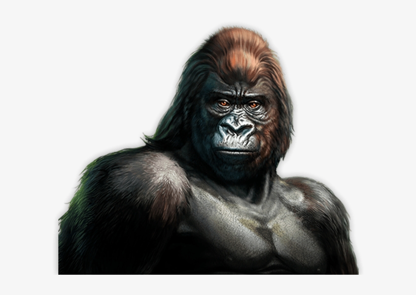 Gorilla™, transparent png