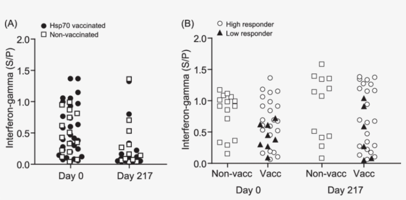 Hsp70 Vaccination Does Not Induce Ifn-responses After, transparent png