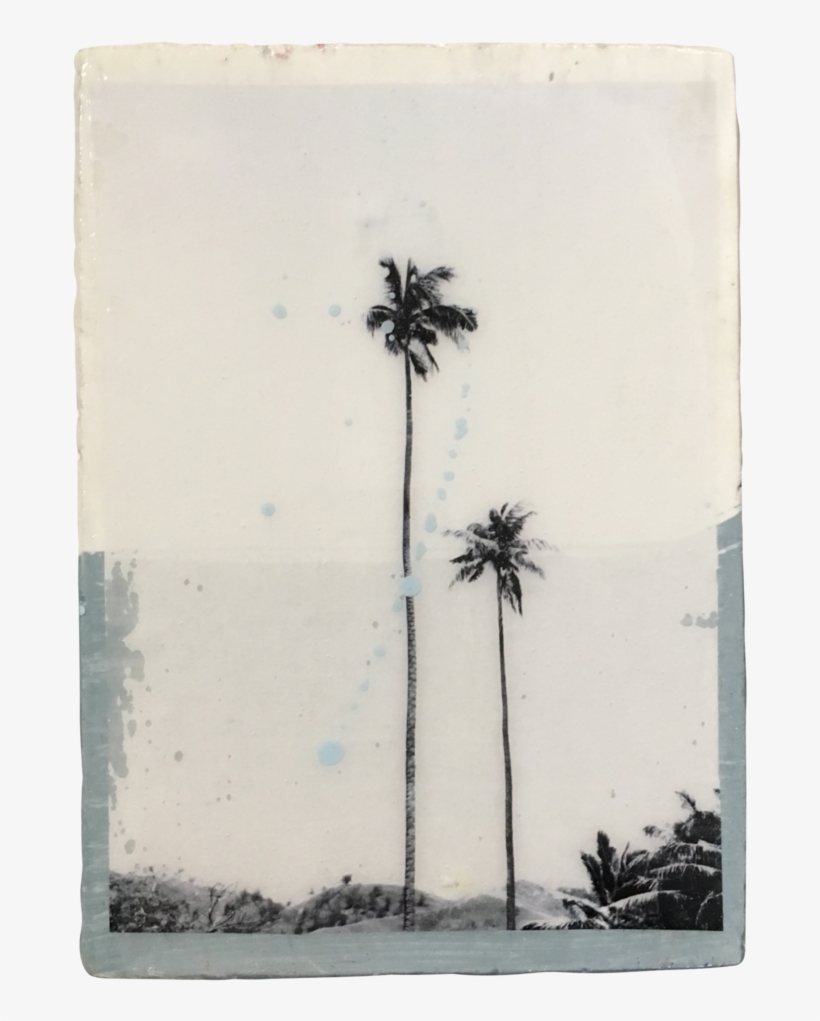 Mini Tile Fiji Palms, transparent png