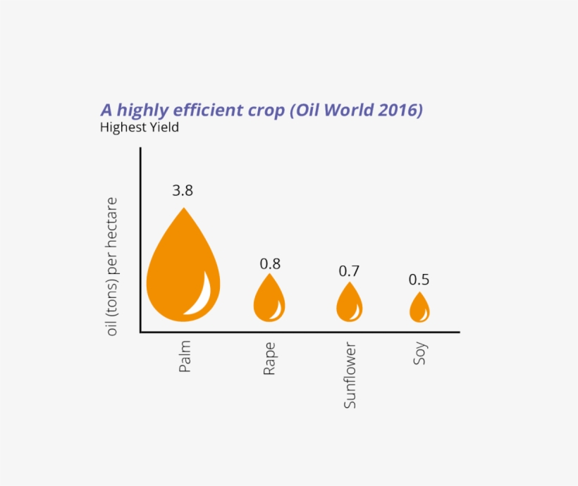 Palm Oil Production, transparent png