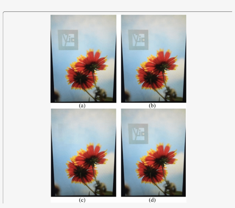 The Captured Photos Via Iphone6, transparent png