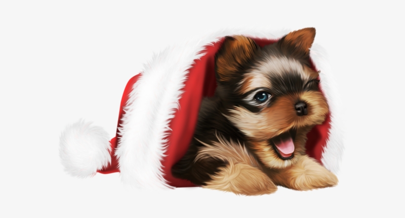 Vous Trouverez De Belles Images Pour Vos Blogs, transparent png