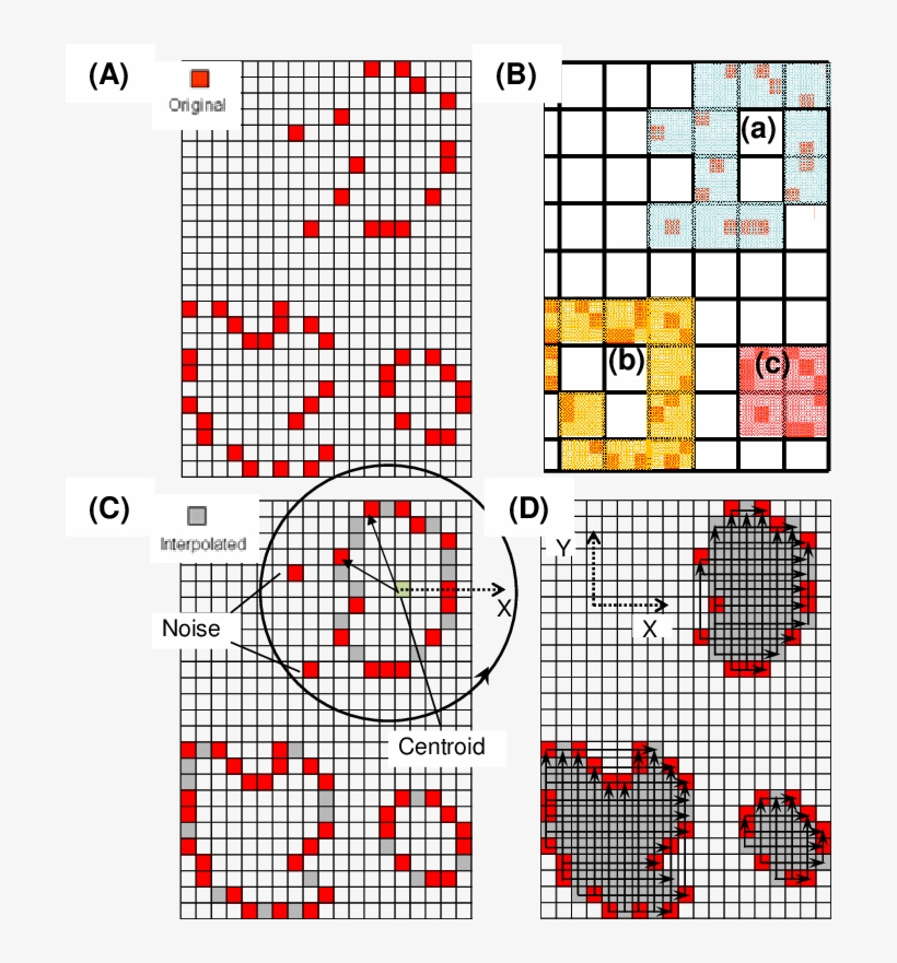Generation Of The Exterior Surface Contours Of The, transparent png