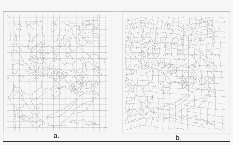 Overlay And Grid After Orthorectification Showing The, transparent png