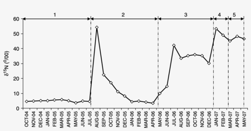 D 15 N Values In Sludge Samples From M1 Maturation, transparent png