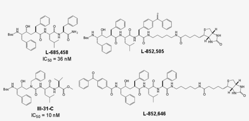 Structures Of The Active Site Directed Secretase Inhibitor, transparent png