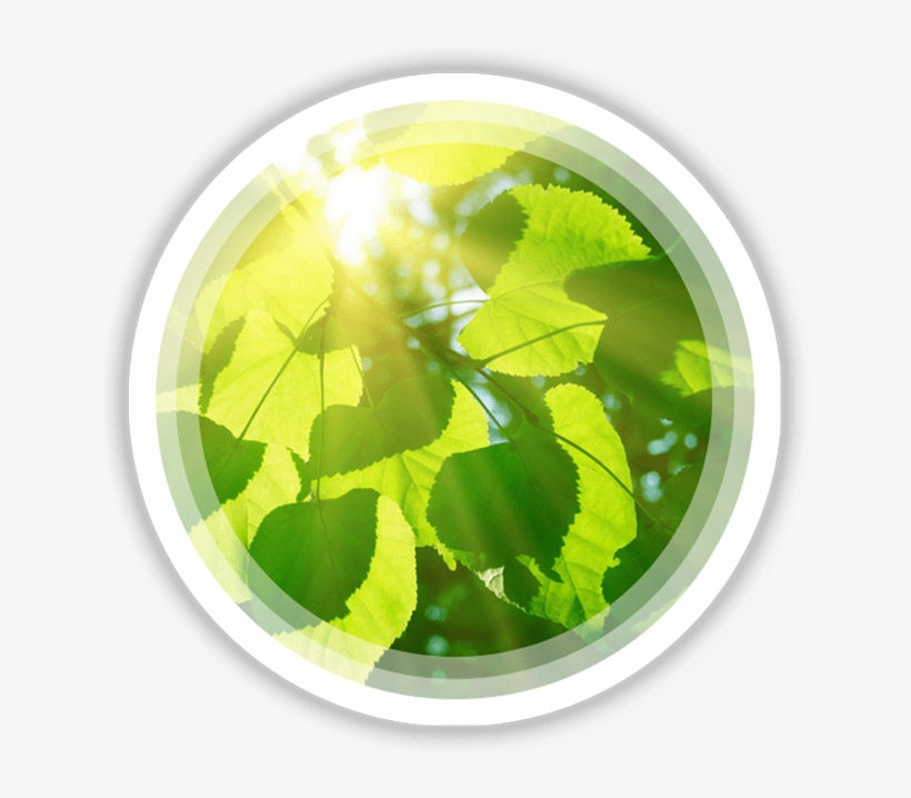 Technology To The Point, transparent png