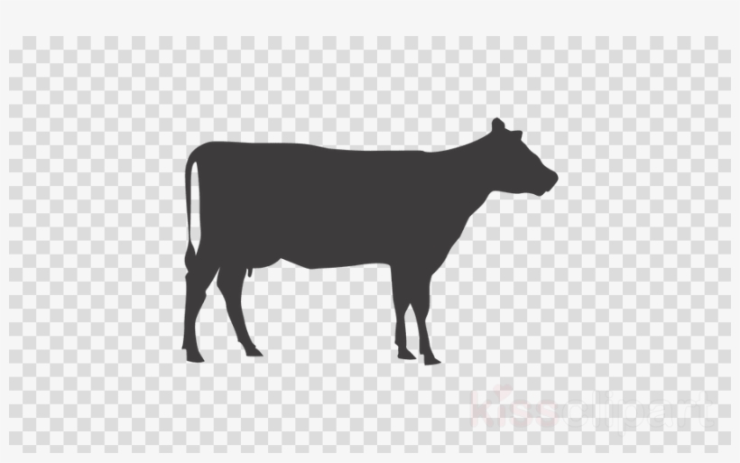 Nativity Animals Silhouette Clipart Beef Cattle Clip, transparent png