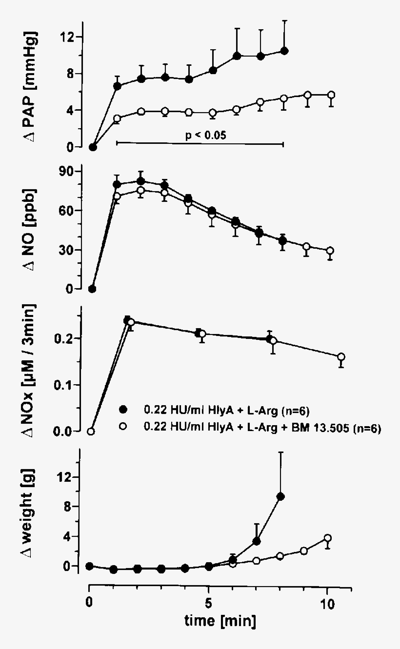 Influence Of The Thromboxane Receptor Antagonist Bm, transparent png