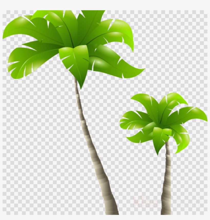 Free Palm Tree Png Clipart Palm Trees Clip Art, transparent png