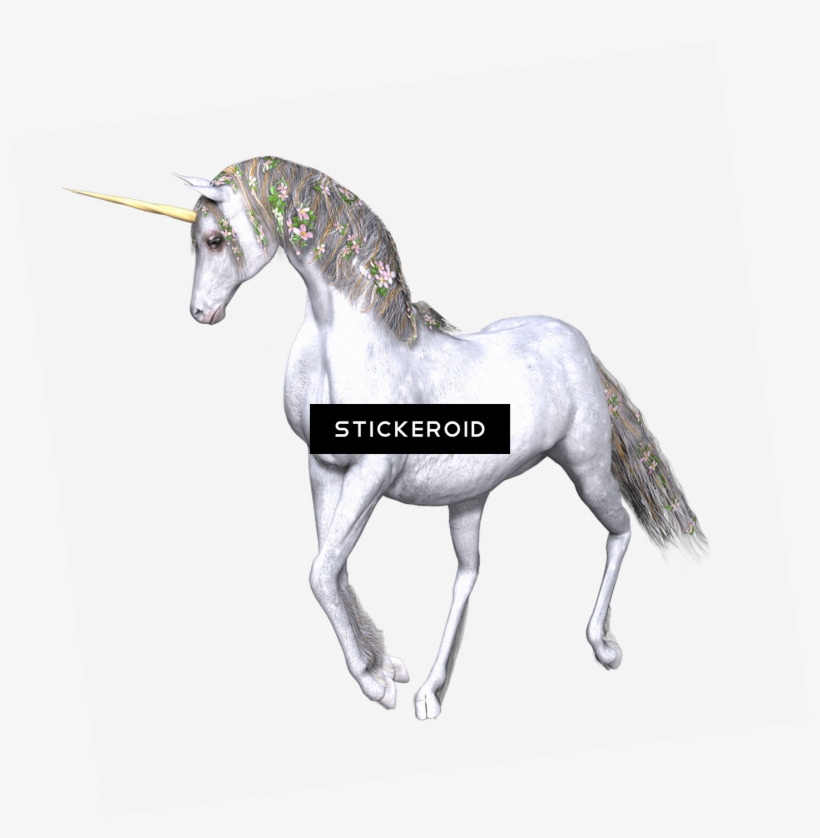 Full White Unicorn, transparent png