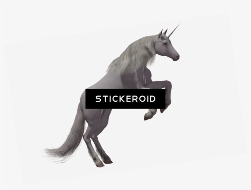Unicorn, transparent png