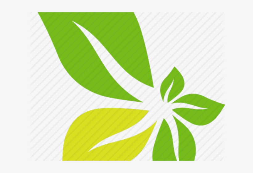 Green Leaf Icon, transparent png