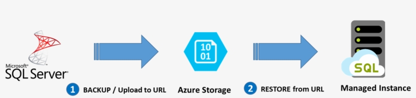 The Following Table Provides More Information Regarding, transparent png