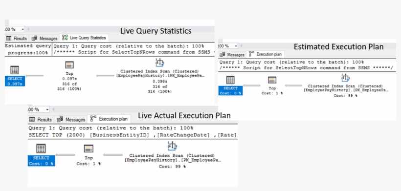 There Are Two Types Of Dynamic Management Views, Server, transparent png