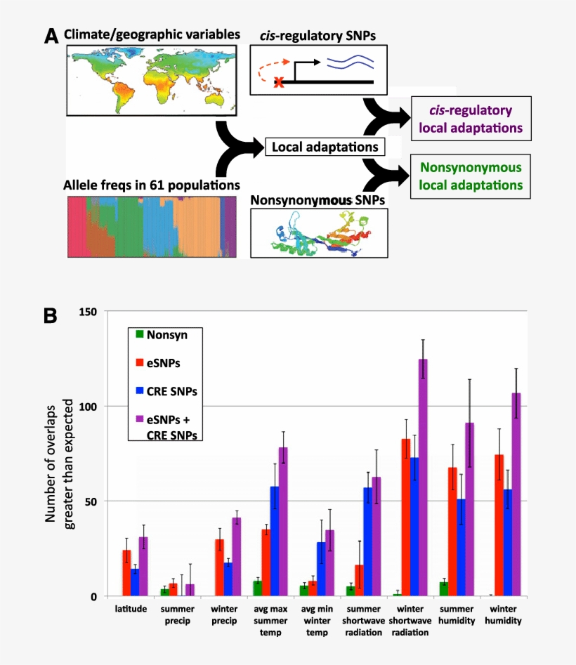 Outline Of The Data Sets Integrated To Identify Putative, transparent png