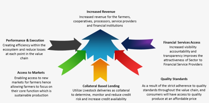 Results From Utilising The Agrimanagr Solution, transparent png