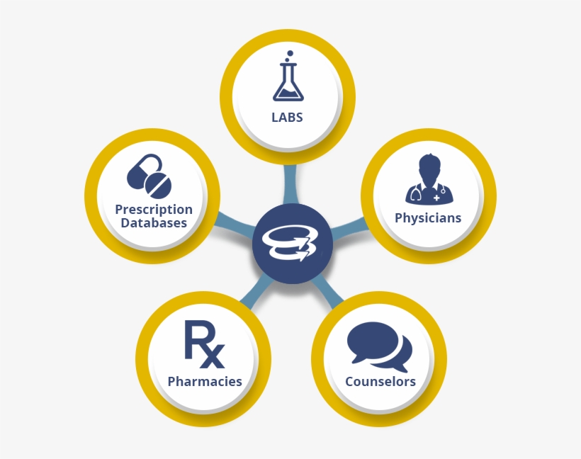 An Ecosystem Fueled By Support And Collaboration With, transparent png