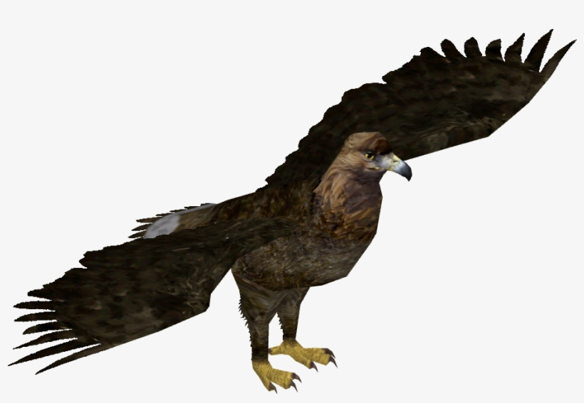 Giant Eagle - 919x919 PNG Download - PNGkit