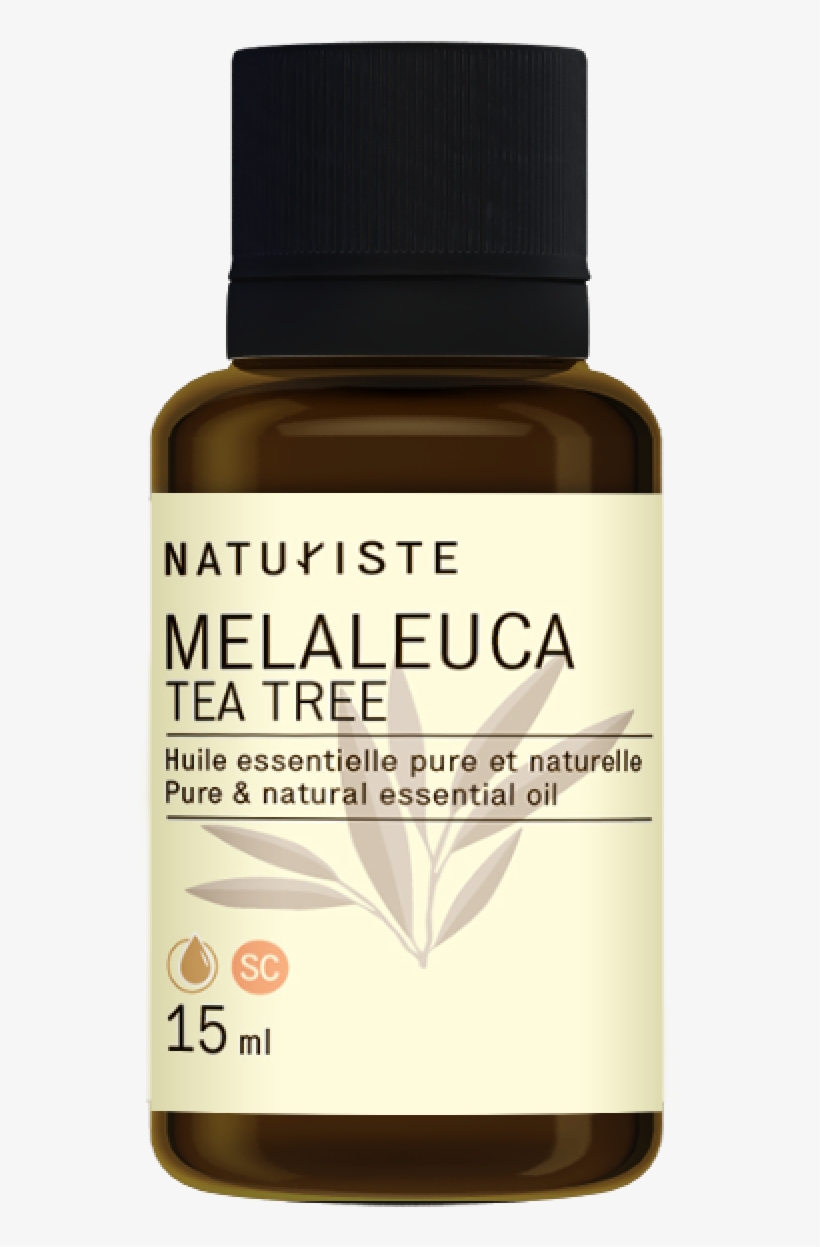 Huile Essentielle De Melaleuca, transparent png