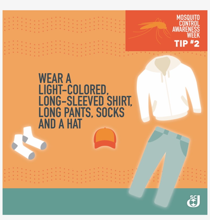 Sc Johnson On Twitter, transparent png