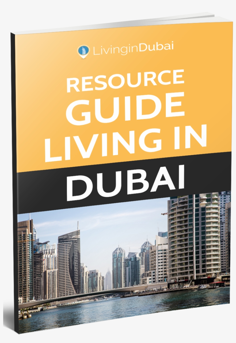 The 35 Tools & Resources 13,000 Expats Have Used To, transparent png