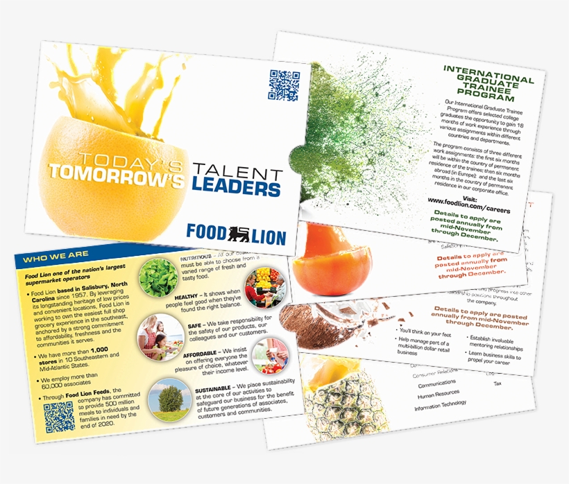 Recruitmentgallery Foodlion Sleevebrochure, transparent png