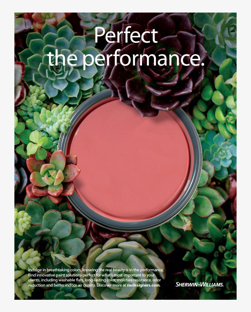 Aerial View Of Orange Paint Lid On A Bed Of Succulents, transparent png