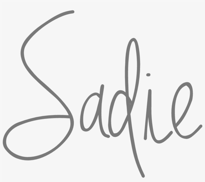 Photos Courtesy Of Petsmart Canada, transparent png