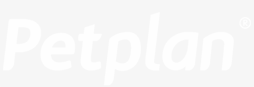 Petplan Is The Commercial Name For Petplan Iberica, transparent png
