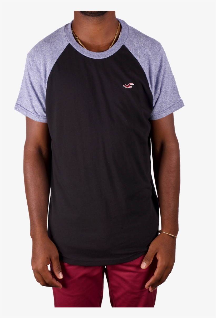 Hollister Logo Png, transparent png
